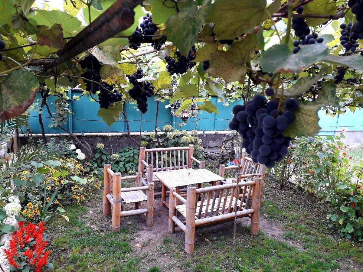 Holiday Home Bordżomi Zewnętrze zdjęcie